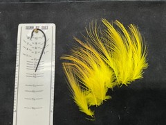 Dyed Chinese Heron feathers