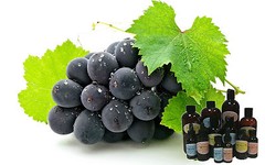 GRAPE PURE FRAGRANCE OIL 0.6oz 1oz 2 oz up to 16oz Free Shipping!!!