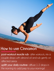 Bulk 32 fl oz Cinnamon (Cassia) Essential Oil Pure & Natural in Aluminum Bottle